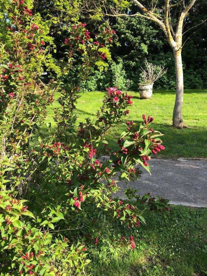 Caraman Domaine En Castanet B&B 외부 사진