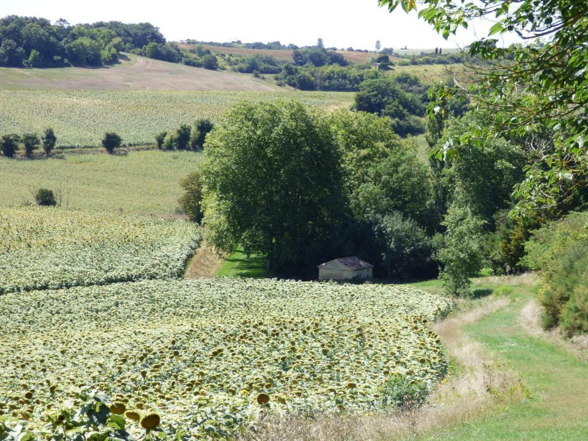 Caraman Domaine En Castanet B&B 외부 사진